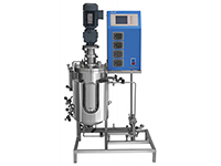 Stainless Steel Fermenter
